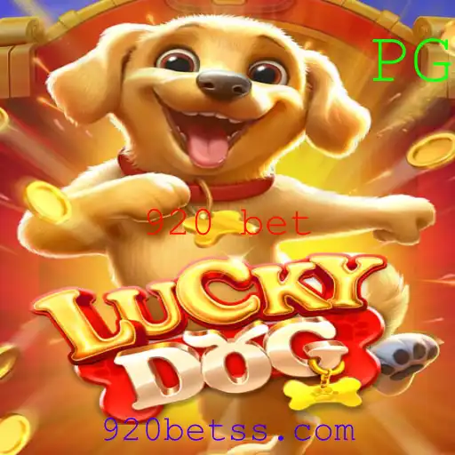 Descubra as Emoções e Regras de LuckyDog: O Jogo Que Conquista com 920 bet